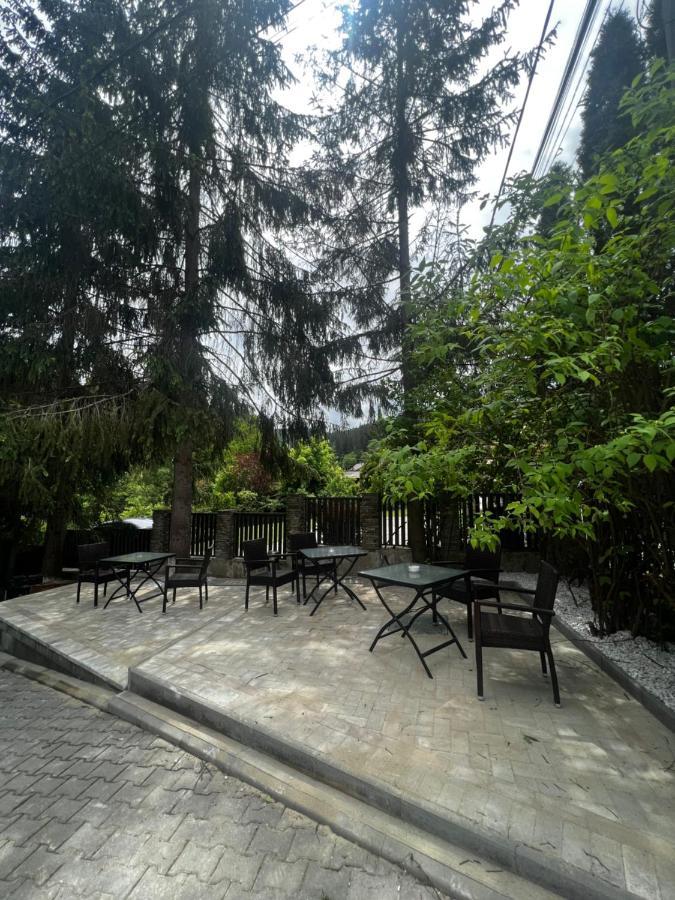 Chalet Minut Vatra Dornei Exterior foto